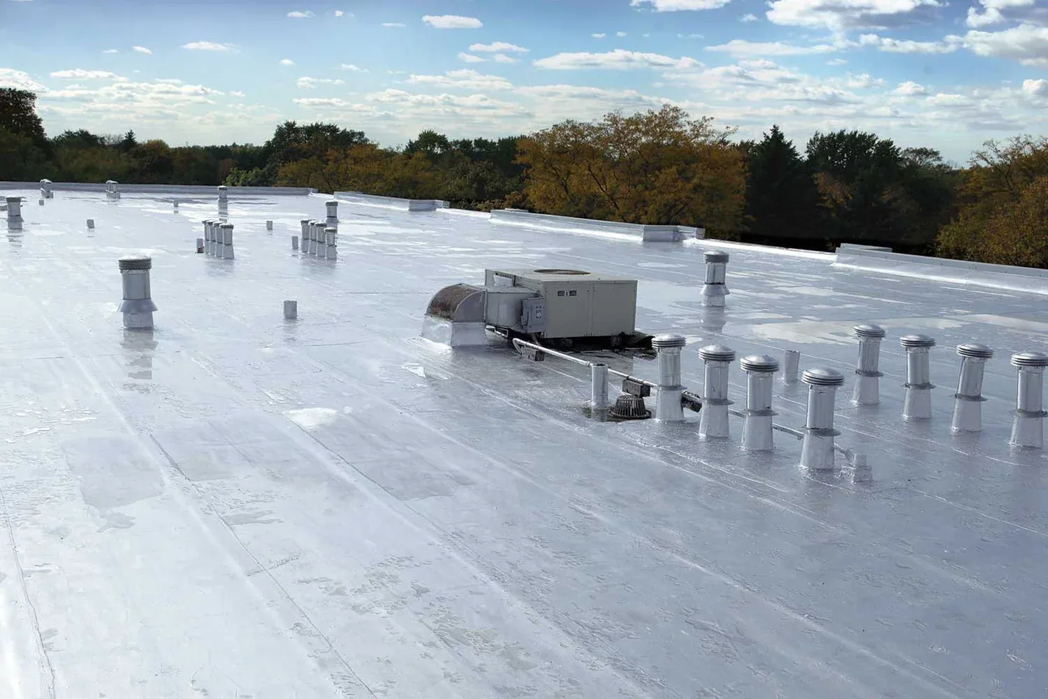 snow and ice damage assessment