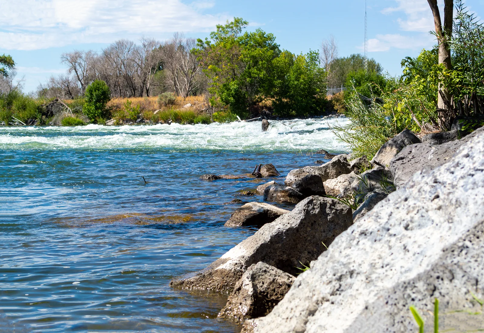 Firth in Idaho Falls, ID